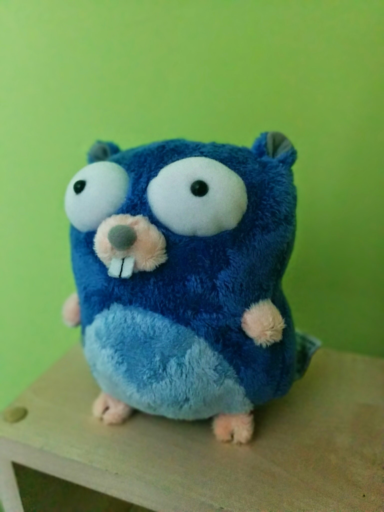 Physical Go programming language mascot, which we received at the first day