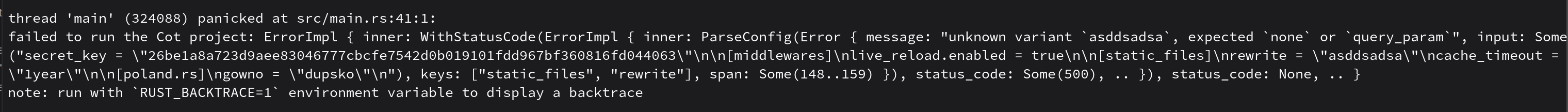 Screenshot placeholder: improved cot error output in a terminal